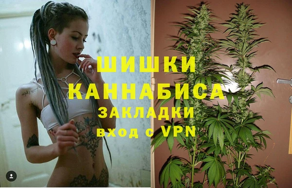 гашиш Дмитриев