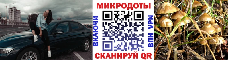 Купить закладки  Верхнеуральск  Галлюциногенные грибы MAGIC MUSHROOMS 